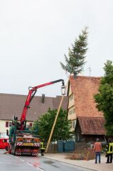 Der Maibaum wird mit Hilfe der Firma Paul Hammann gelegt. DANKE!